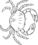 Crab1